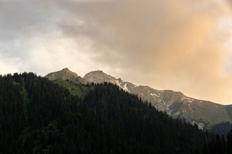 Snow Peaks & Steppes in 3.5 Hours: How to Do Almaty Under ₹55000 from Delhi