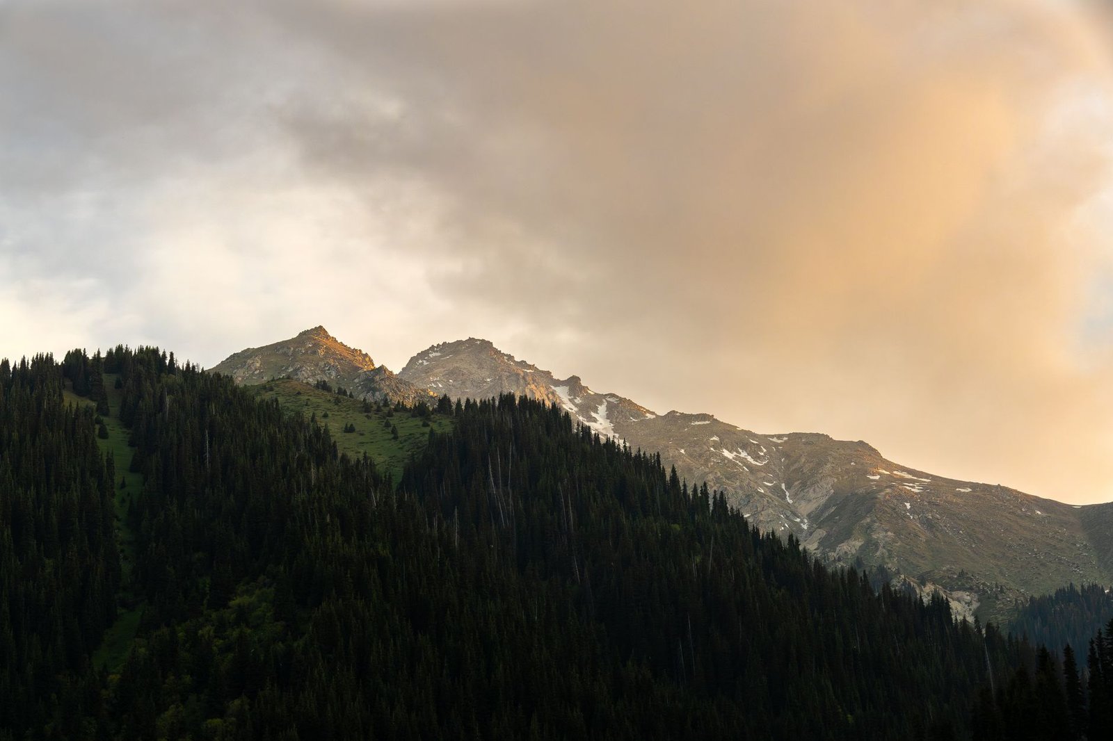 Snow Peaks & Steppes in 3.5 Hours: How to Do Almaty Under ₹55000 from Delhi