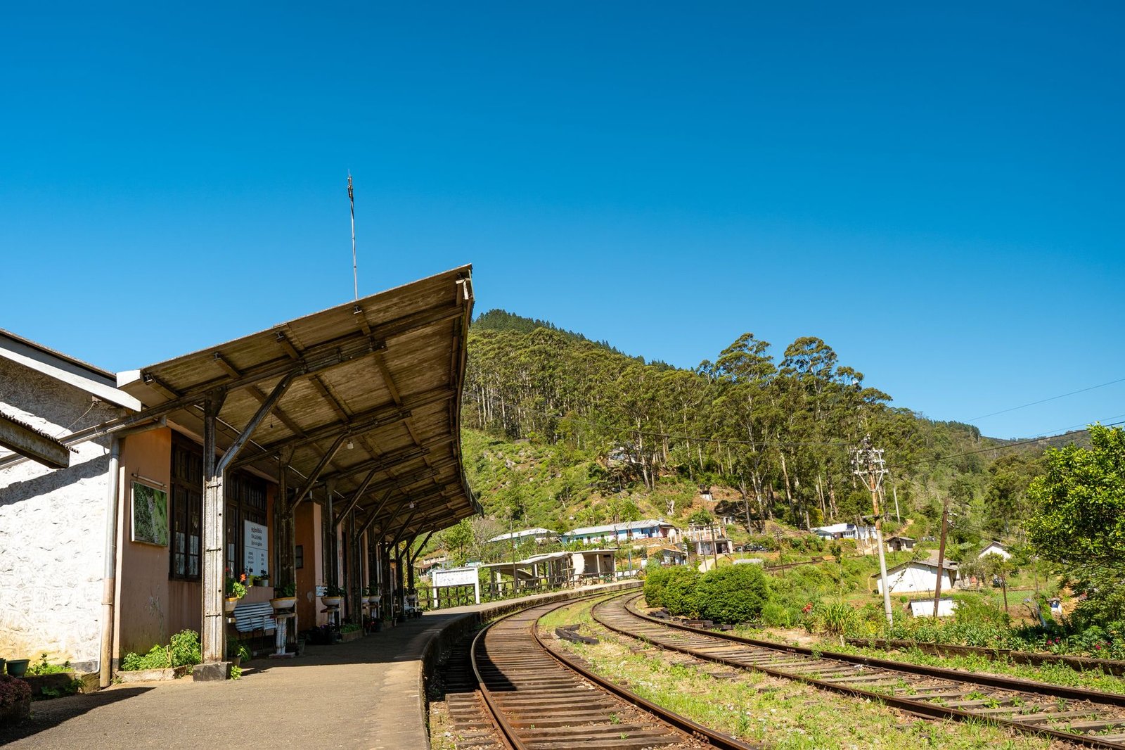 Inside the World’s Most Scenic Train Ride: How Indians Can Book Sri Lanka’s Blue Train Without Agents